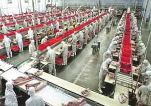 斯洛伐克肉类加工厂