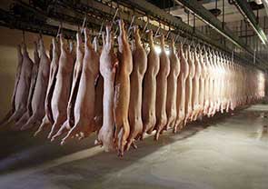 美国屠宰场工作人员