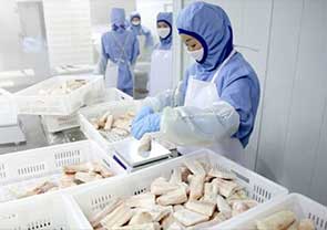 日本水产加工项目