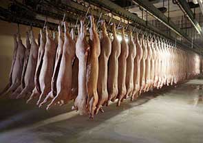 美国屠宰场工作人员