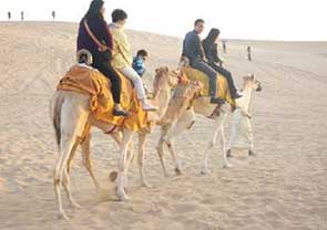 迪拜旅行社导游第五家