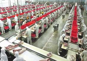 斯洛伐克肉类加工厂