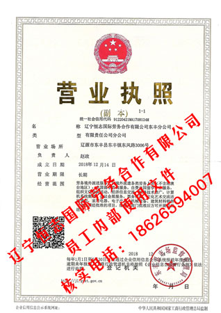 辽源市东丰县营业执照 辽源市东丰县营业执照