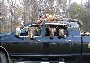 加拿大出国劳务 加拿大出国劳务