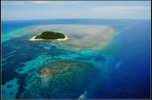 1575271381804231.jpg 3.jpg